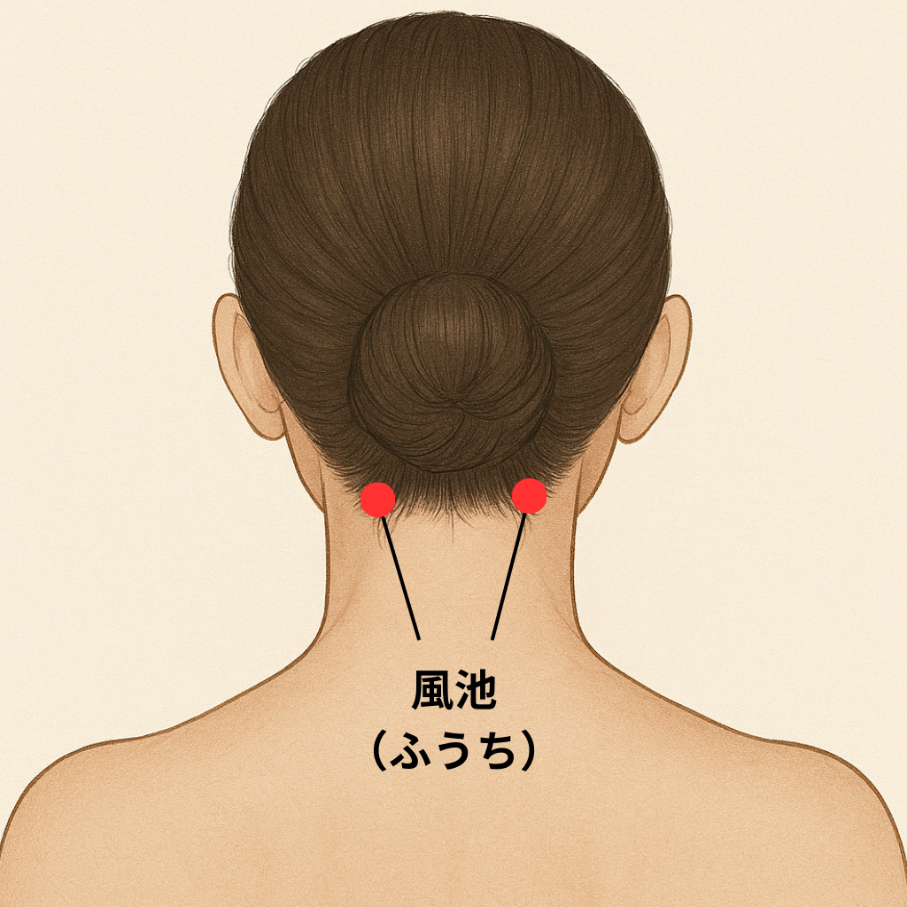 ⑤風池 | スピリチュアルヒーリングサロン ソラクル